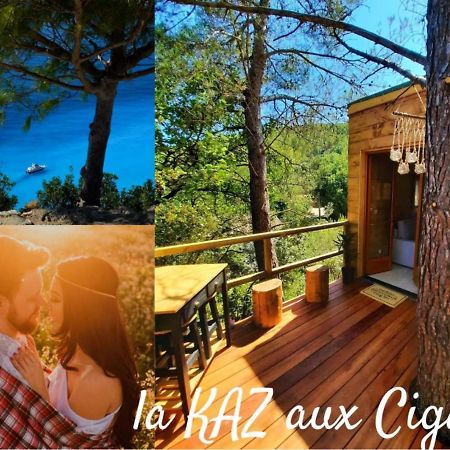 Cabane Dans Les Arbres "La Kaz Aux Cigales" كتشوير المظهر الخارجي الصورة