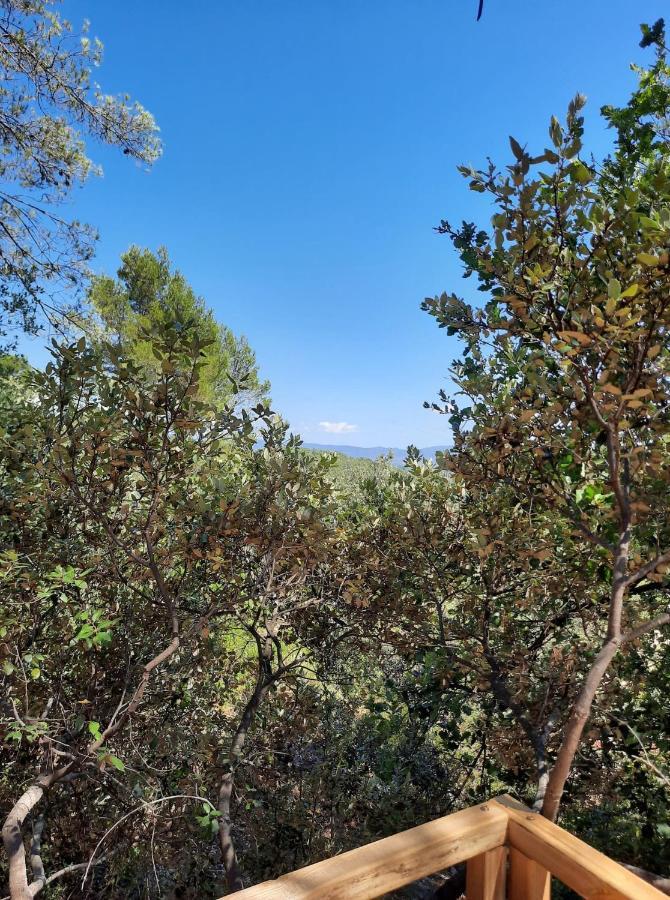 Cabane Dans Les Arbres "La Kaz Aux Cigales" كتشوير المظهر الخارجي الصورة