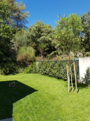 Cabane Dans Les Arbres "La Kaz Aux Cigales" كتشوير المظهر الخارجي الصورة