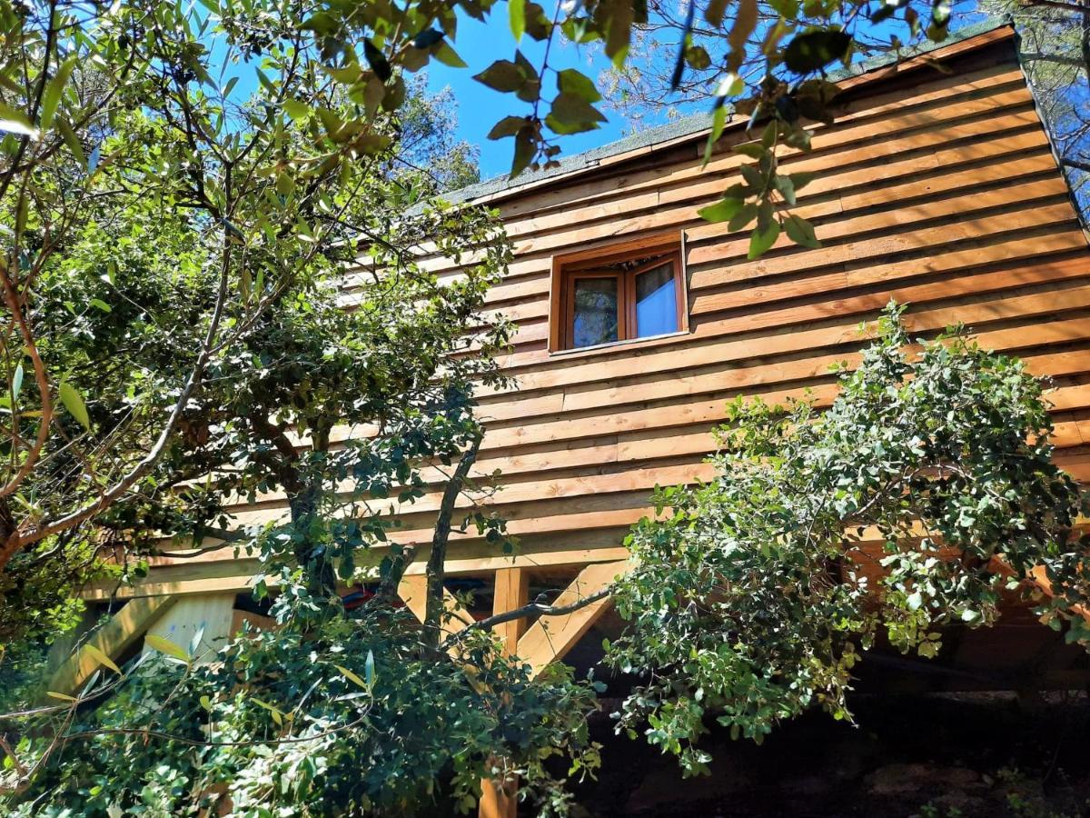 Cabane Dans Les Arbres "La Kaz Aux Cigales" كتشوير المظهر الخارجي الصورة